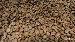 Mengenal Kopi Guatemala yang Punya Kualitas Tinggi Terkenal di Dunia