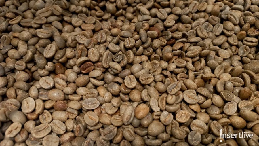 Kopi Guatemala