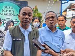Peluang Produk Susu Lokal di Program Makan Bergizi Gratis