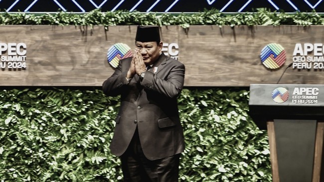 Presiden Vietnam Luong Cuong memuji Prabowo Subianto dengan mengatakan RI akan berkembang pesat di bawah pemerintahan eks Denjen Kopasus tersebut.