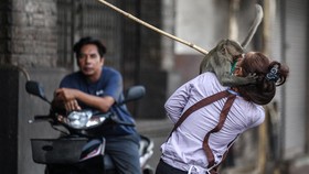 FOTO: Akhir Cerita Teror Ribuan Monyet di Thailand