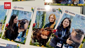 VIDEO: Moo Deng Jadi Selebritis di COP 29