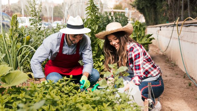 Mengenal Gaya Hidup 'Homesteading', Beneran Bisa Bikin Kaya Raya?