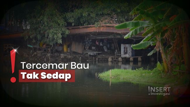 Adu Nasib ke Ibu Kota, Warga Buat Kolong Jembatan Rumah Ternyaman