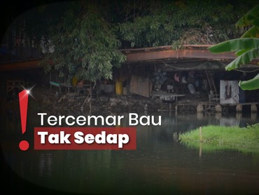 Adu Nasib ke Ibu Kota, Warga Buat Kolong Jembatan Rumah Ternyaman