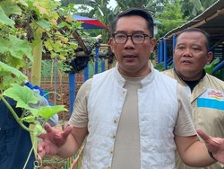 RK Janji Bikin Pergub Pinjam Lahan untuk Urban Farming Warga