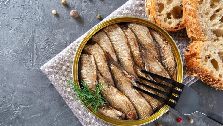 sandwich sarden ilustrasi sandwich sarden