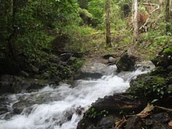 Hidden Gem di Sikka, Air Panas Blidit yang Tersembunyi