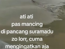 Heboh Buaya Muncul di Pesisir Suramadu, Begini Imbauan BPBD