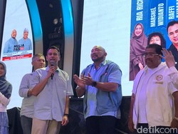 Sederet Dukungan Artis di Pilkada Bali