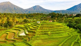 Dua Desa di Indonesia Jadi Desa Wisata Terbaik di Dunia 2024