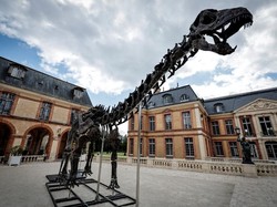 Kerangka Dinosaurus Raksasa Berhasil Dilelang, Harganya Bikin Tercengang