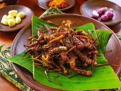 Video: Respons BPOM soal Serangga Masuk Opsi Menu Makan Gratis
