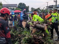 Banjir-Pohon Tumbang Sempat Tutup Jalan Trenggalek-Ponorogo, 2 Korban Luka