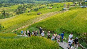 Cek Panduan Jelajah Bali Anti Mainstream, Bukan Destinasi Biasa