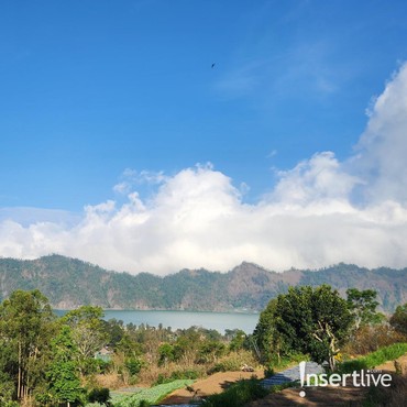 Bobocabin Kintamani: Menyegarkan Mata, Me-recharge Tubuh