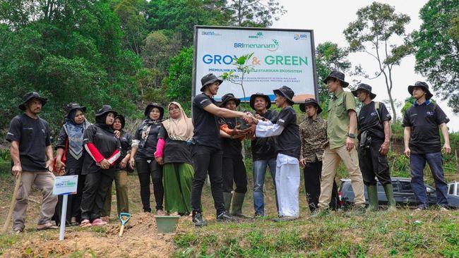 BRI Menanam-Grow dan Green Dukung KTH Pabangbon Pulihkan Ekosistem Hutan