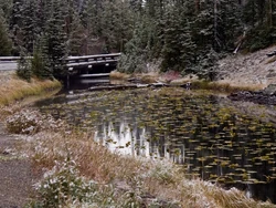 Danau Ini Satu-satunya yang Mengalir ke Samudra Pasifik dan Atlantik