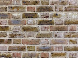 Jenis-Jenis Dinding Bangunan Lengkap, dari Penahan Beban hingga Partisi