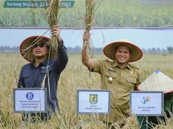 Ragam Upaya Pemkab Tingkatkan Produktivitas Pertanian di Sergai