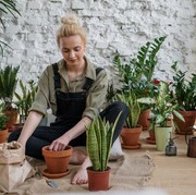 7 Jenis Tanaman Cantik yang Cocok Ditanam saat Musim Hujan