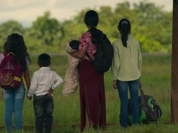 Kisah 4 Bocah Bertahan 40 Hari di Hutan Amazon Setelah Pesawat Jatuh