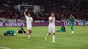 Media Vietnam: Marselino Produk Lokal Indonesia Berkualitas Tinggi