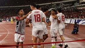 Daftar 33 Pemain Timnas Indonesia untuk TC Piala AFF 2024