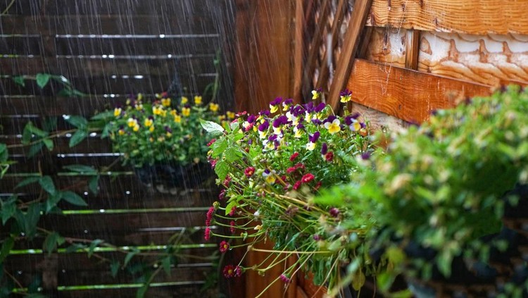 This is rain with splashing water droplets photographed in spring in Germany
