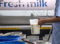 Koperasi Siap Pasok 1,3 Juta Liter per Hari buat Kebutuhan Susu MBG