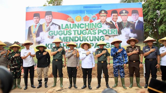 Sumsel Percepat Ketahanan Pangan Lewat Program Lahan Sawah Rawa