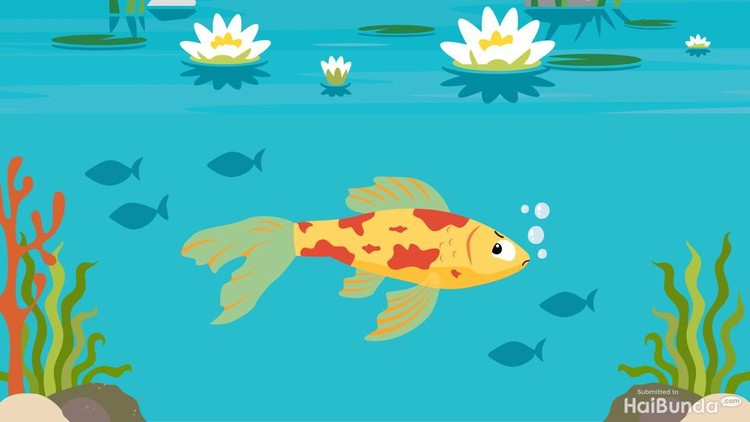 Dongeng anak: ikan koi yang sombong