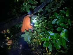 99 Rumah Warga Rusak Imbas Angin Kencang di Cibungbulang Bogor