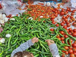 Harga Pangan Mulai Naik di Pasar Tradisional NTB, Bawang Paling Mahal
