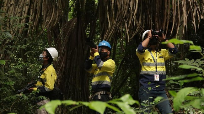 PT BSI berperan aktif dalam menjaga kelestarian lingkungan melalui berbagai program inovatif, termasuk reklamasi progresif dan birdwatching.