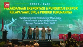 VIDEO: BPDPKS Sebut Penyesuaian Tarif CPO Tambah Daya Saing Ekspor