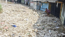FOTO: Sungai Citarum Meluap, Banjir Rendam Dayeuhkolot Bandung Lagi