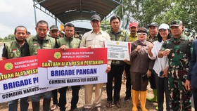 Cara Mendaftar Brigade Pangan di 12 Provinsi