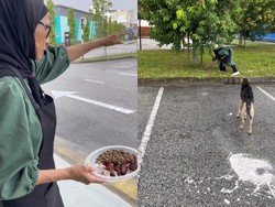 Restoran Ini Diboikot Gegara Pemiliknya Beri Makanan ke Anjing Liar