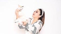 Lirabica Kecam Usulan Pencabutan Larangan Perdagangan Daging Anjing dan Kucing