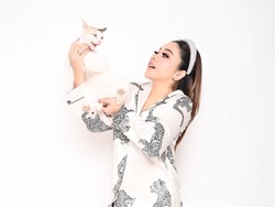 Lirabica Kecam Usulan Pencabutan Larangan Perdagangan Daging Anjing dan Kucing