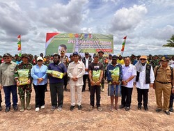 Sejahterakan Masyarakat Adat, Mentan Ajak Gotong Royong Swasembada Pangan