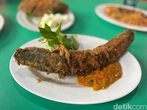 Suka Makan Ikan Lele? Ternyata Ini 8 Manfaatnya untuk Kesehatan