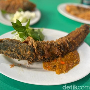 Suka Makan Ikan Lele? Ternyata Ini 8 Manfaatnya untuk Kesehatan