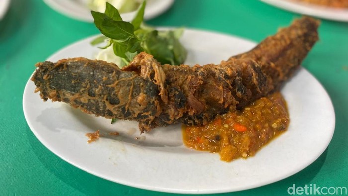 Suka Makan Ikan Lele? Ternyata Ini 8 Manfaatnya untuk Kesehatan
