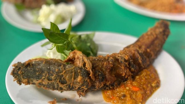 Cara Simpan Ikan Lele Tanpa Kulkas, Bisa Tetap Segar Hingga 2 Hari