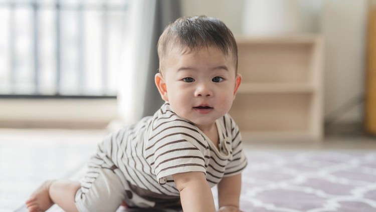 bayi merangkak