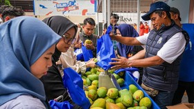 BRI Dukung Mangga Bondowoso Dari Desa Botolinggo ke Pasar Nasional