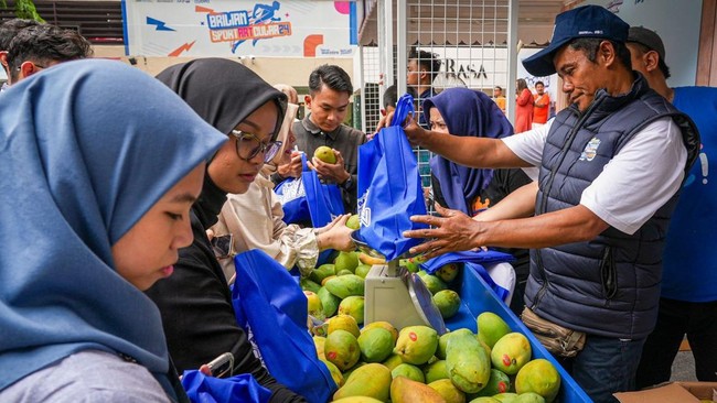 BRI mendukung petani mangga alpukat di Botolinggo untuk meningkatkan skala usahanya sehingga meningkatkan taraf hidup para petani.