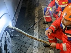 Ular Piton 2 Meter Masuk Dalam Kap Mesin Mobil Warga di Palu, Damkar Evakuasi